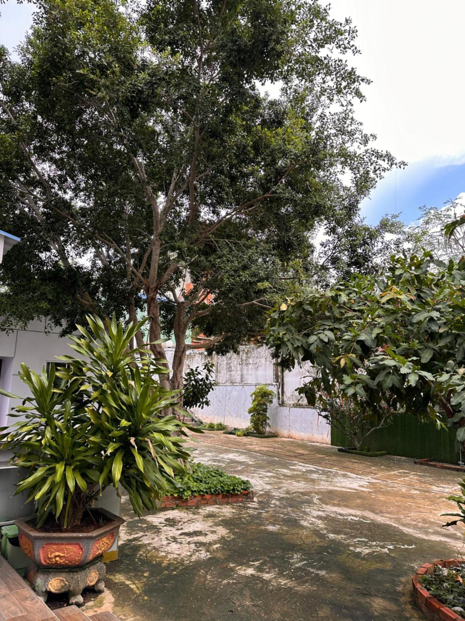 Bungalow Hotel Chi Khu Co Ong Luaran gambar